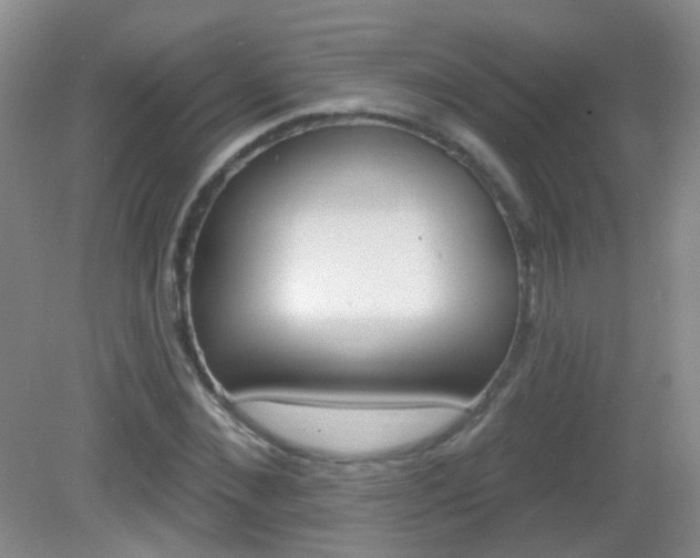 X0000082930876200702011043