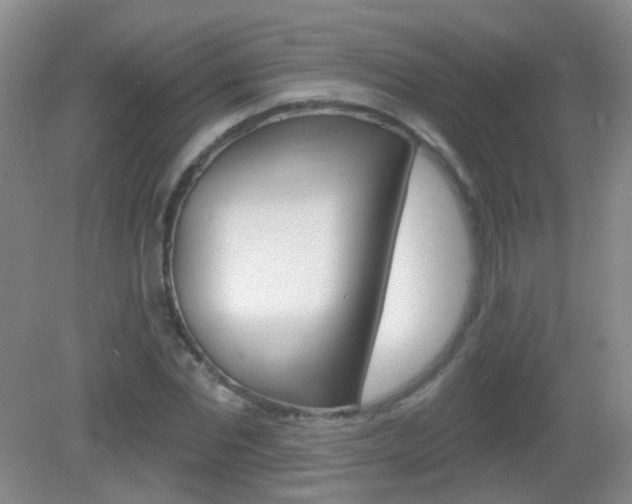 X0000082930877200702011043