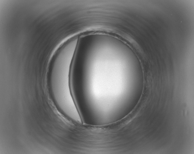 X0000082930880200702011043