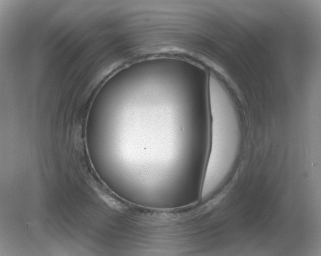 X0000082930881200702011043