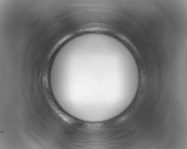 X0000082930882200702011043