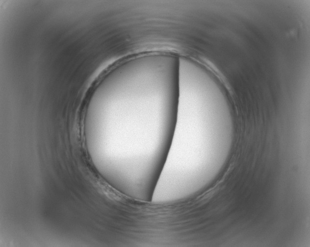 X0000082930883200702011043