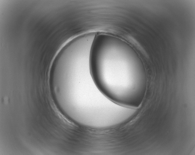 X0000082930884200702011043