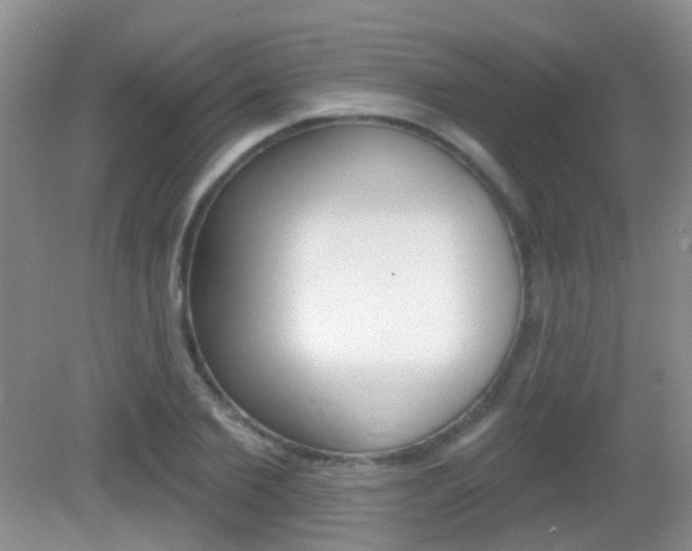 X0000082930885200702011043