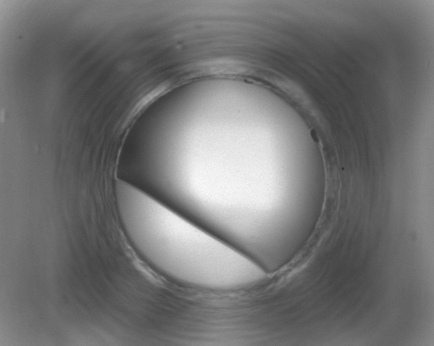 X0000082930889200702011043