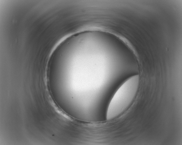 X0000082930904200702011043