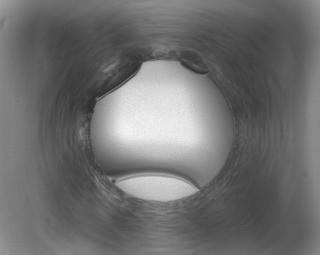 X0000082930914200702011042