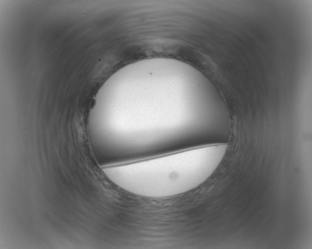 X0000082930915200702011042