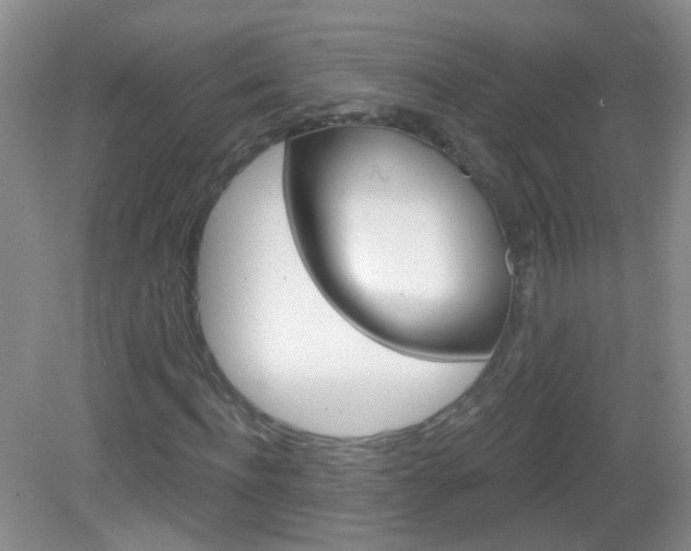 X0000082930916200702011042