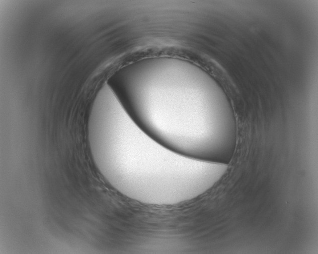 X0000082930919200702011042