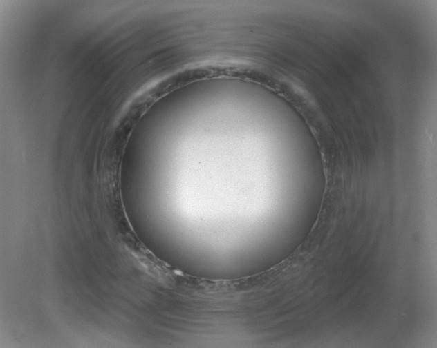 X0000082930920200702011042