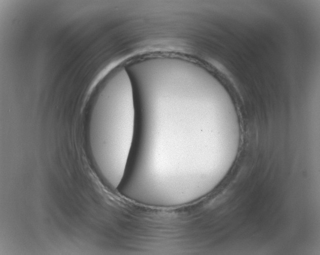 X0000082930925200702011042