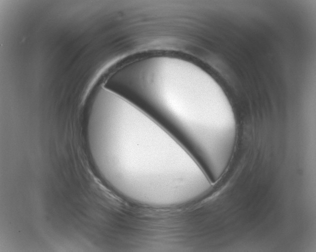 X0000082930926200702011042