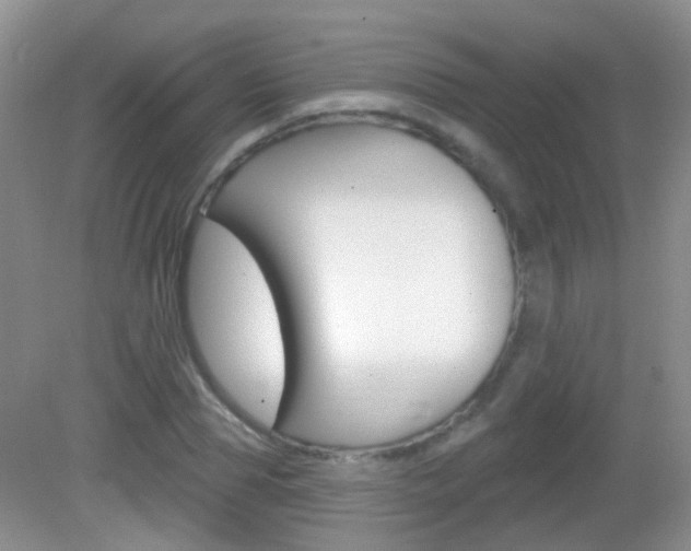 X0000082930929200702011042