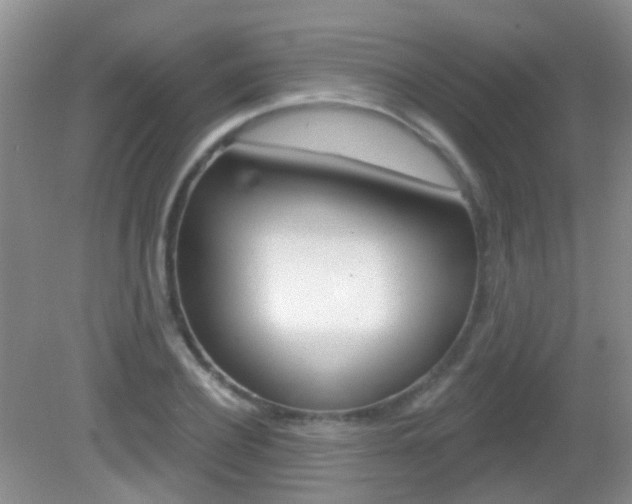 X0000082930932200702011042