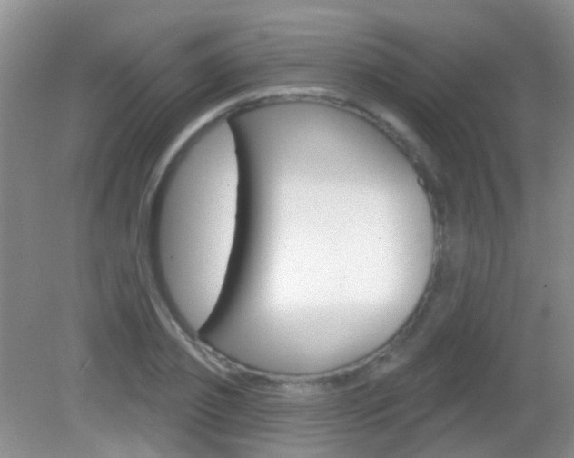 X0000082930933200702011042