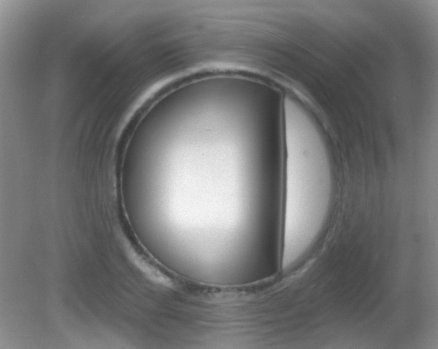 X0000082930934200702011042