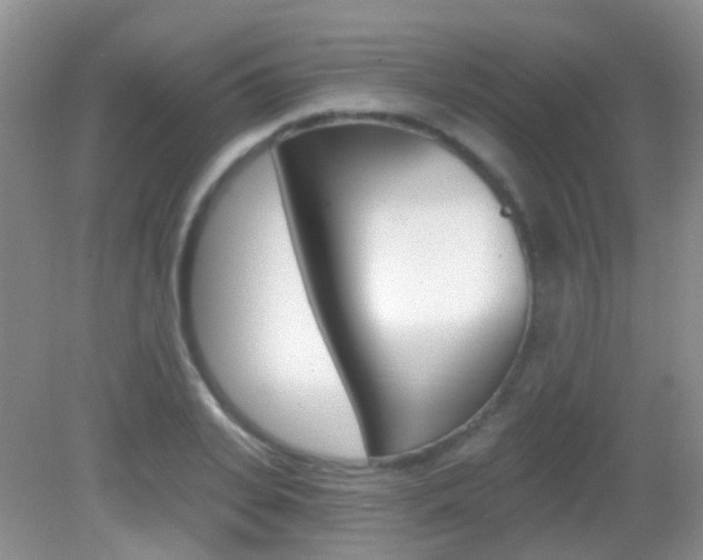 X0000082930935200702011042