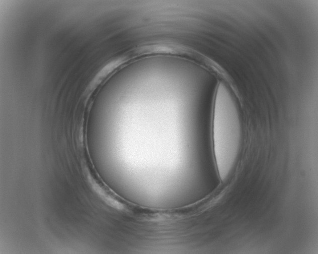 X0000082930938200702011042