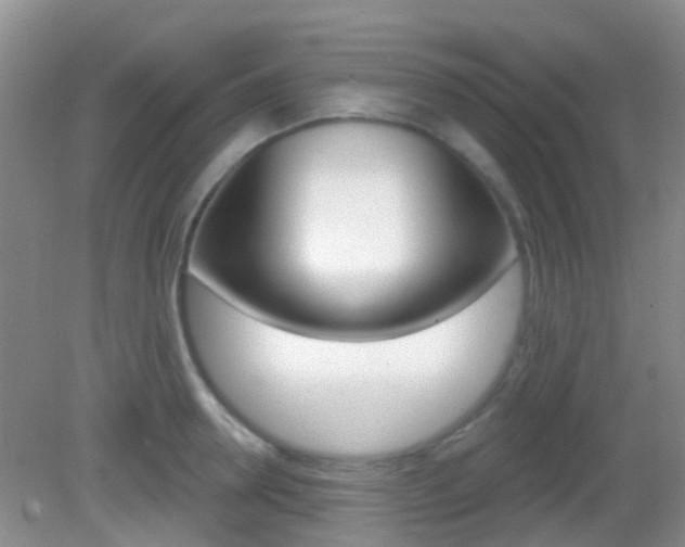 X0000082930946200702011042