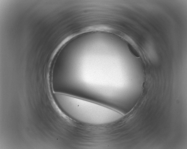 X0000082930947200702011042
