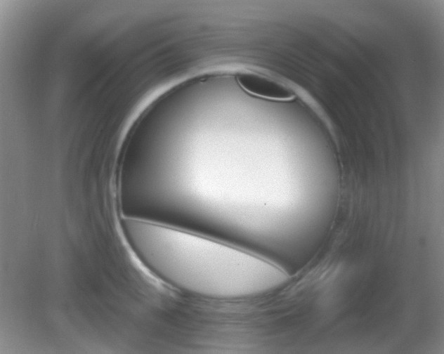 X0000082930951200702011043
