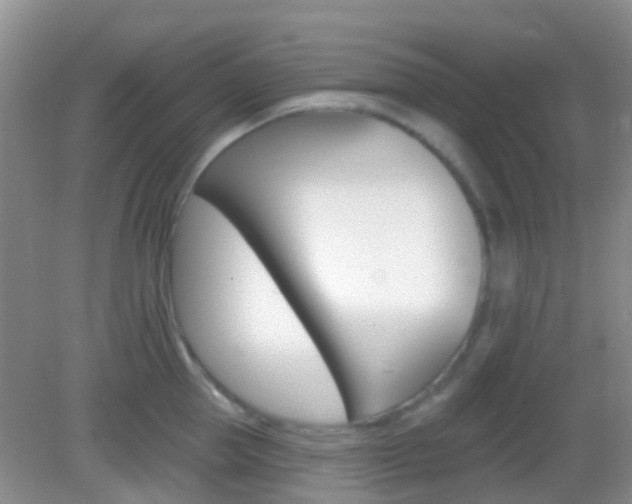 X0000082930953200702011043