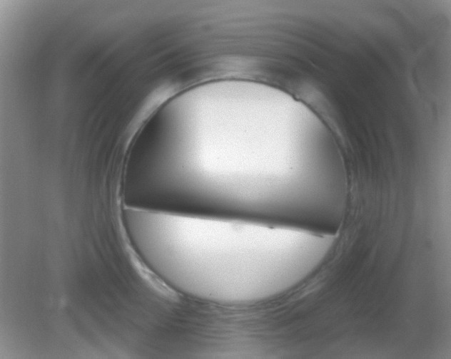 X0000082930954200702011043
