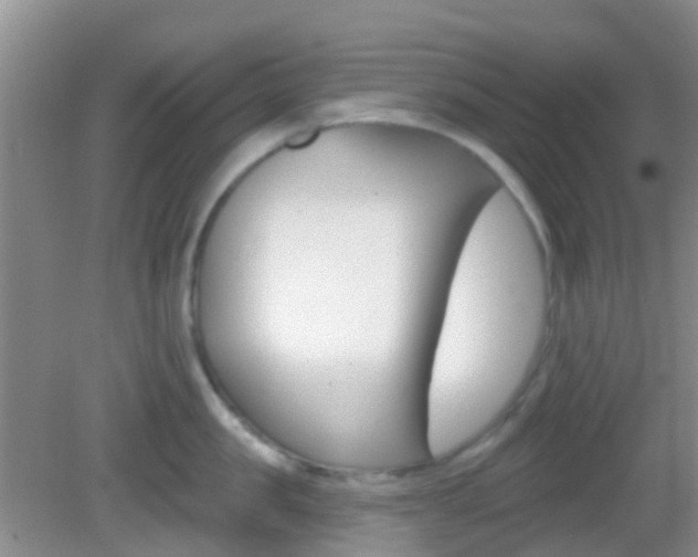 X0000082930957200702011043