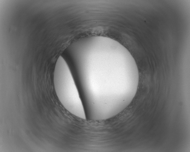X0000082930962200702011042