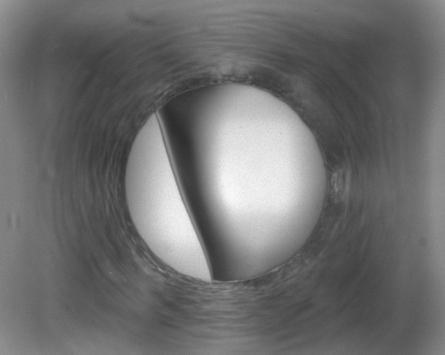 X0000082930963200702011042