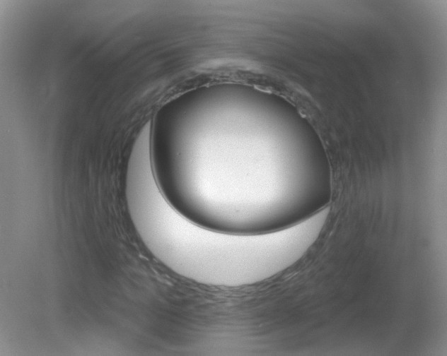 X0000082930965200702011042