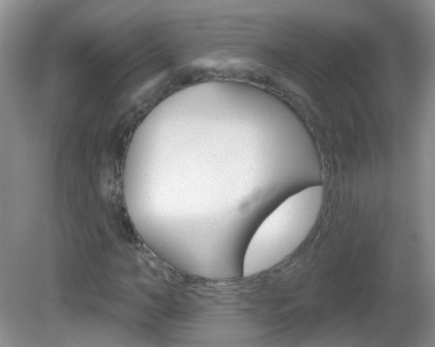 X0000082930966200702011042