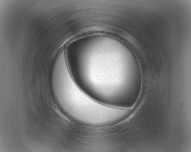X0000082930969200702011042