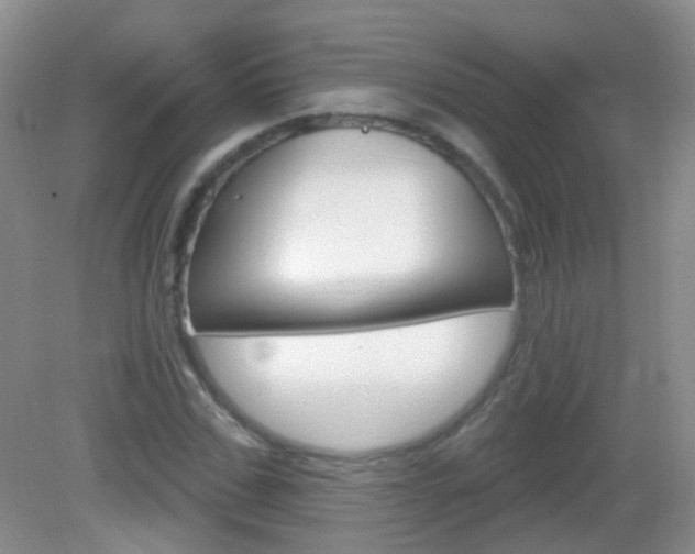 X0000082930971200702011042
