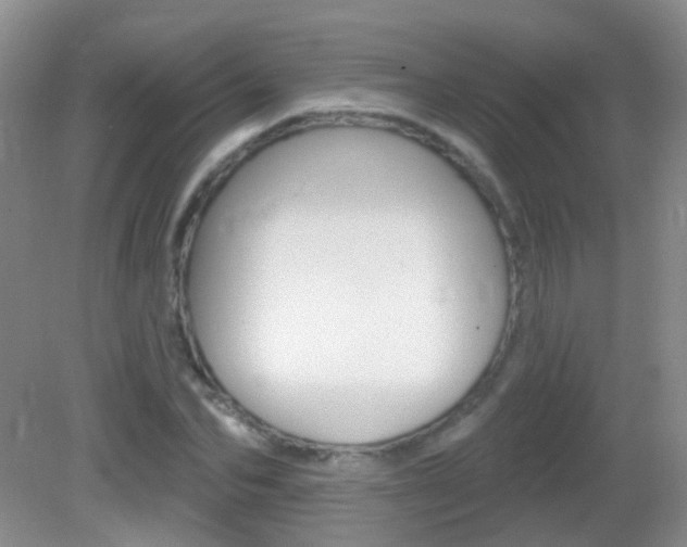 X0000082930974200702011042