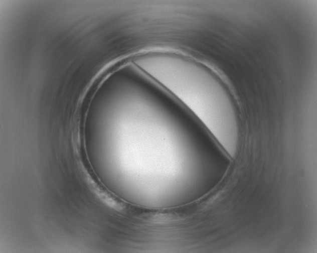 X0000082930984200702011041