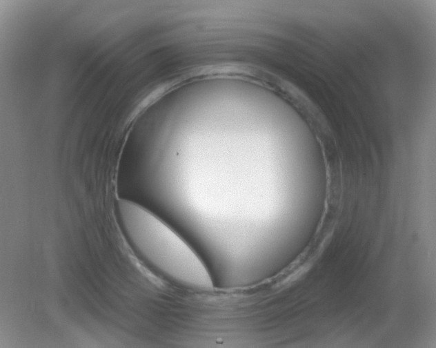 X0000082930985200702011041