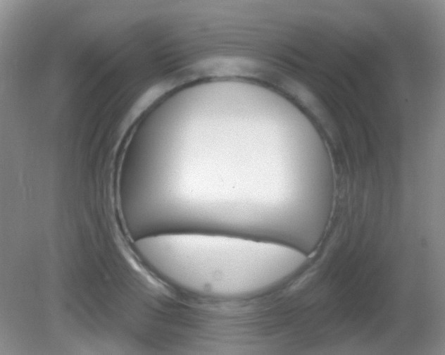 X0000082930986200702011041