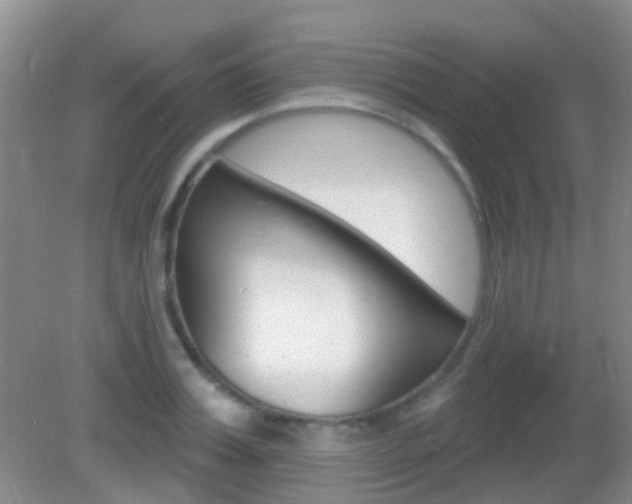 X0000082930987200702011041