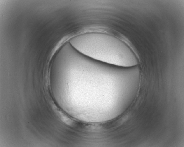 X0000082930994200702011041