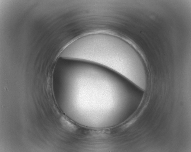 X0000082931001200702011041