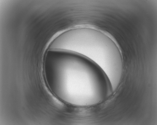 X0000082931005200702011041