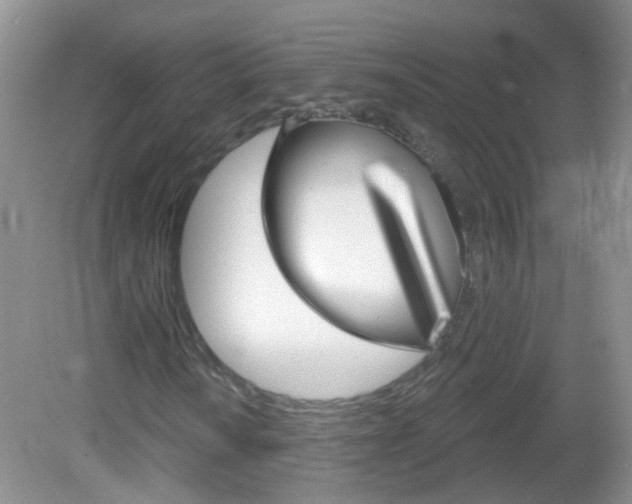 X0000082931010200702011040