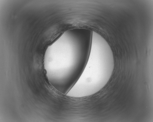 X0000082931012200702011040