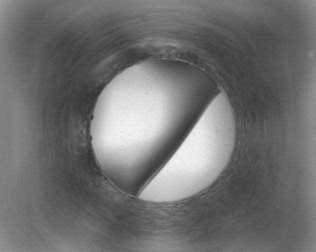 X0000082931013200702011040