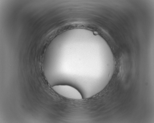 X0000082931015200702011040