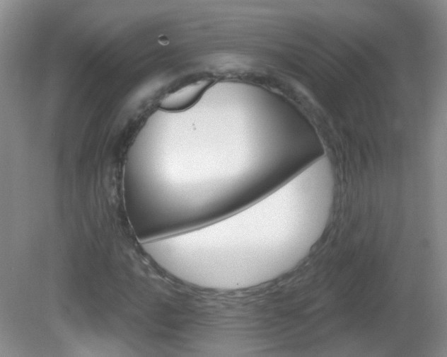 X0000082931016200702011040