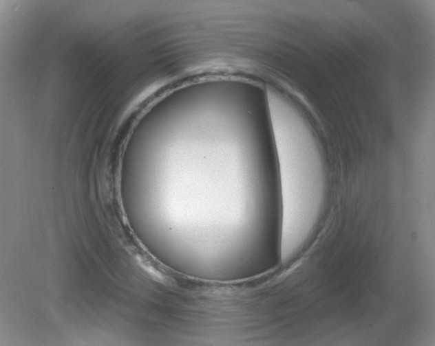 X0000082931018200702011040