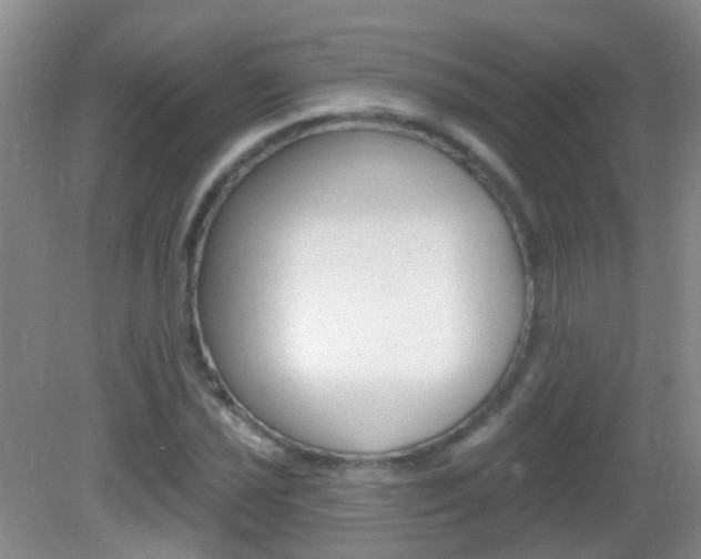 X0000082931021200702011040